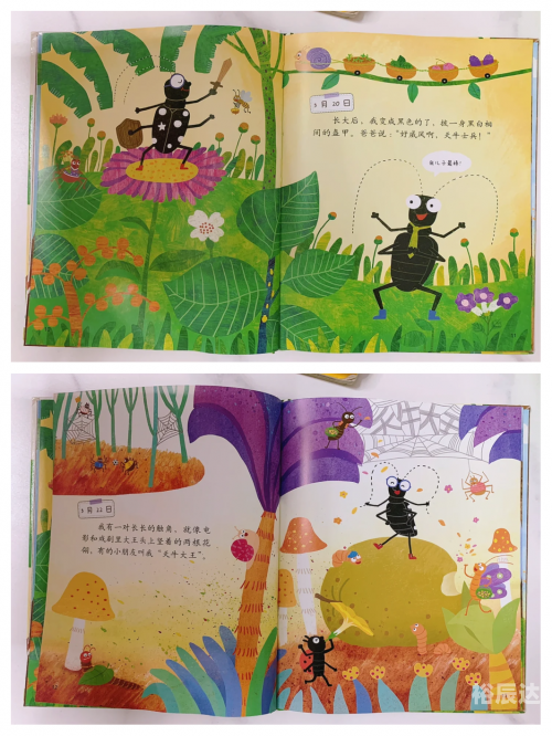 红五图库天牛图库天97654红五图库天牛图库天，探索自然之美与收藏的乐趣-第2张图片