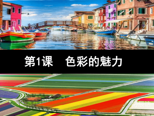 红姐彩色统一图库，色彩的魅力与统一之美-第3张图片