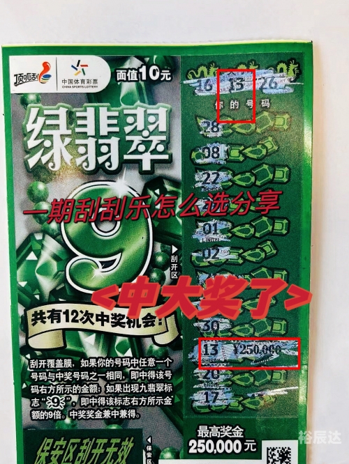 彩票猎手网，探索数字彩票的神秘世界-第2张图片