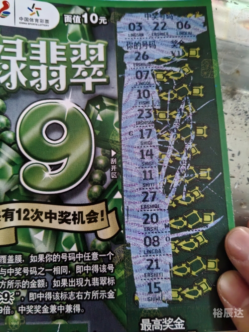 彩票猎手网，探索数字彩票的神秘世界-第3张图片