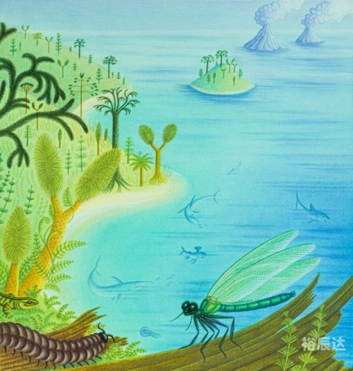 彩票网站彩票网站，探索数字奇迹的海洋