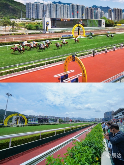 香港免费资料六会宝典款香港免费资料六会宝典-第2张图片