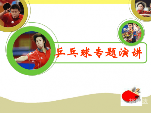 球乐宝球乐宝，快乐与健康的完美结合-第2张图片