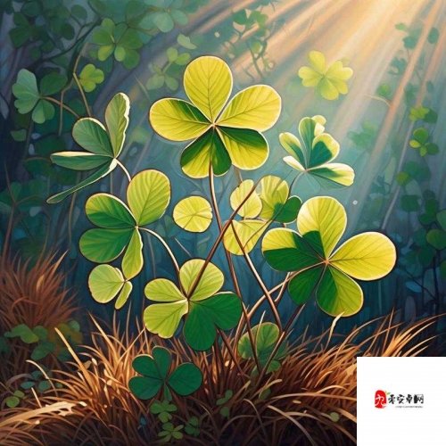 四叶草论坛是什么四叶草论坛，探索网络交流的新天地-第2张图片