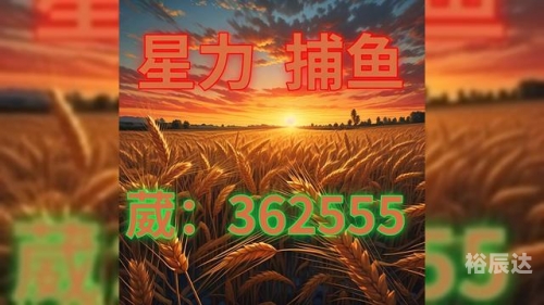 捕鱼星力，海洋生态与人类捕捞的新篇章-第2张图片