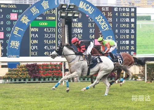 2022澳门马会正版资料查询澳门马会正版资料查询，2022年指南-第2张图片