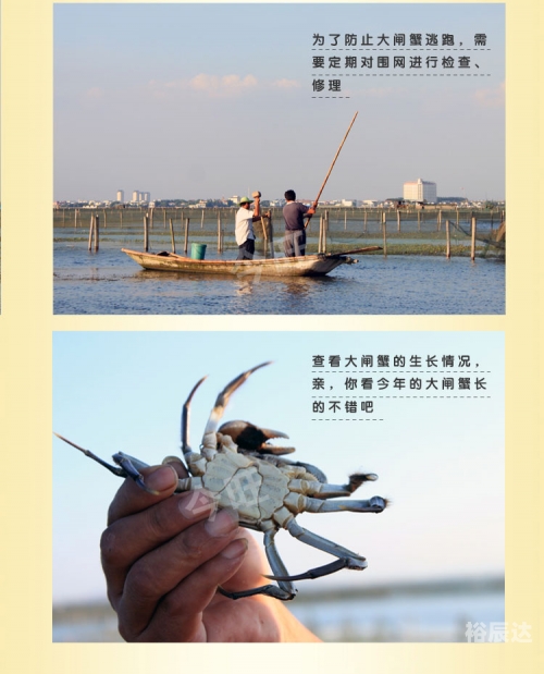 港澳台49图库港澳台49图库，探索多元文化与丰富视觉盛宴-第2张图片