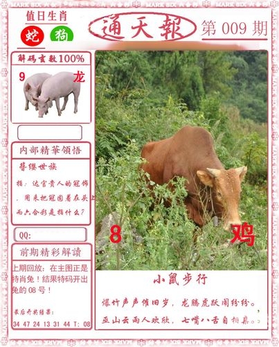 2023澳门全年免费资料大观-第2张图片