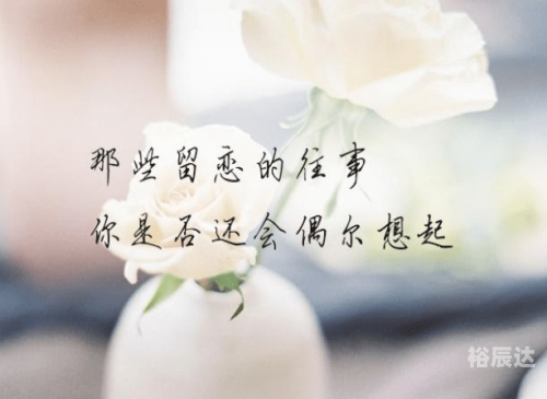 刺心吉他谱-第3张图片
