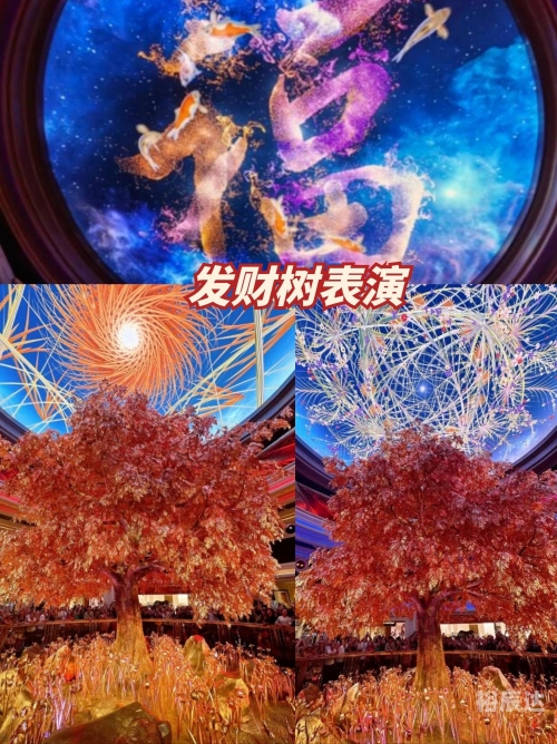 4949澳门开奖现场开奖直播澳门4949开奖现场直播揭秘-第2张图片