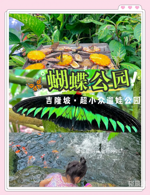 蝴蝶谷网址娱乐网蝴蝶谷网址娱乐网，探索网络世界的奇妙之旅