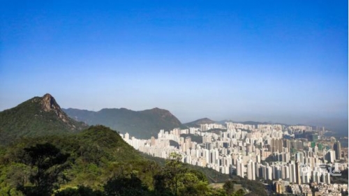 2020年香港今晚开奖结果查询第5期2020年香港今晚开奖结果揭晓，幸运与悬念交织-第2张图片