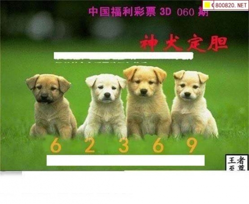 3d走势图(带连线图专业版)2020年3D走势图专业版，带你领略趋势的连线和专业解读-第2张图片