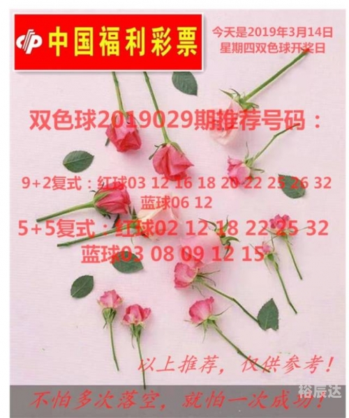 2019香港开奖记录及开奖结果回顾-第2张图片