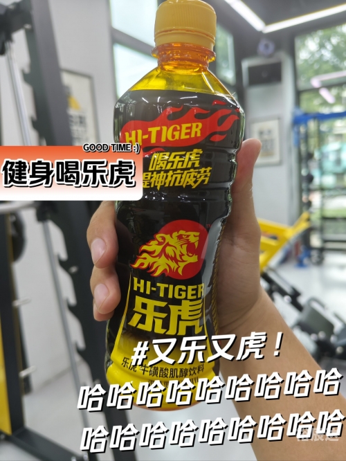 乐虎网乐虎网，健康生活的新选择
