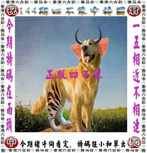 2023澳门正版资料完整版2023澳门正版资料完整版介绍