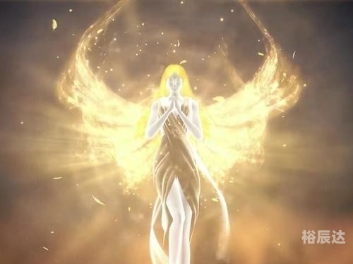 夜天使小说全本免费阅读夜天使，神秘的守护者
