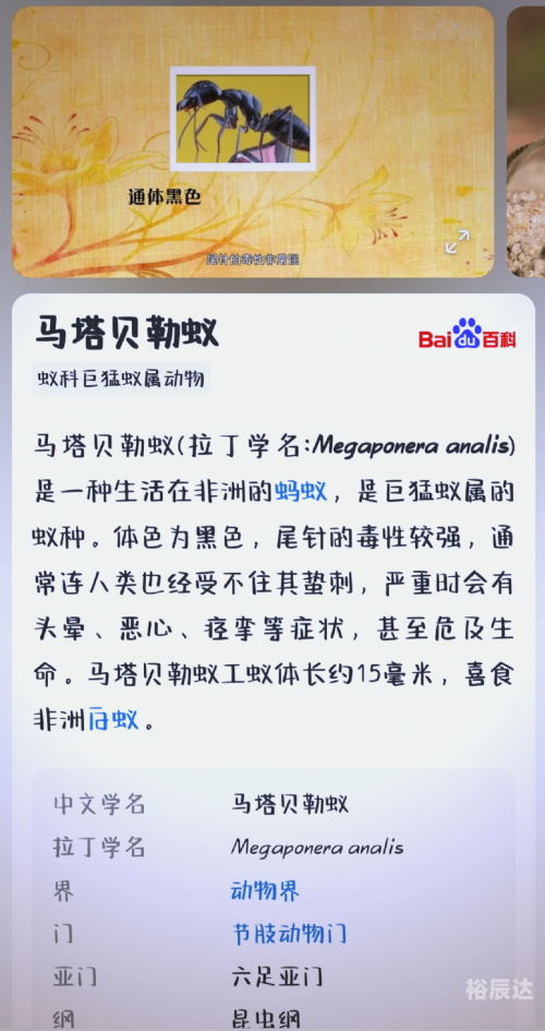 蚂蚁塔防