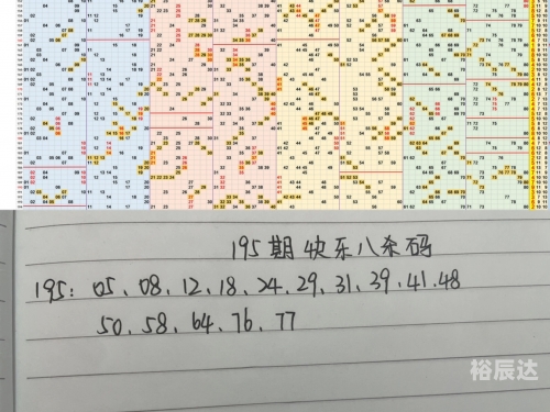 澳门一肖一码一一特中，探索数字彩票与特区文化