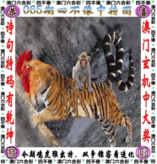 2022澳门马会正版资料查询2022澳门马会正版资料查询，全面掌握最新信息