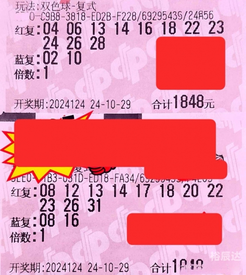 双色球霸主，彩票市场的传奇与影响
