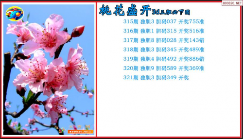 曾道人内幕玄机-第3张图片