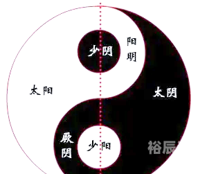 篡命铜钱，命运的抉择与金钱的奥秘