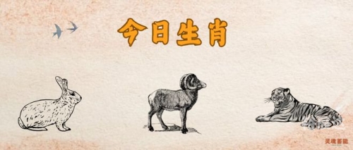 今晚必二肖四不像我就要一肖今晚必二肖-第2张图片