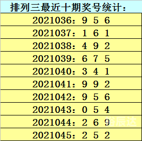 金彩网官网入口金彩网，引领数字时代的璀璨之网