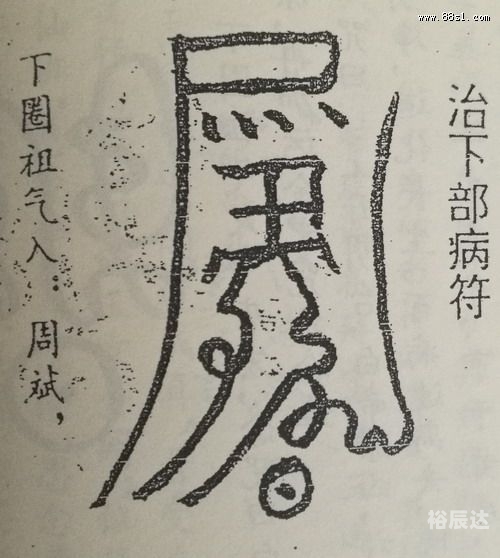 超级天医超级天医，探寻生命奥秘的神秘力量