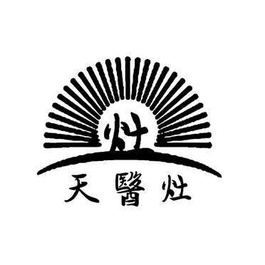 超级天医超级天医，探寻生命奥秘的神秘力量-第3张图片