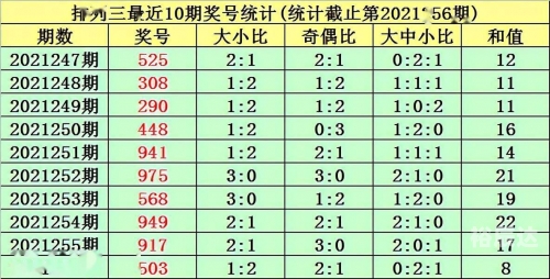 今晚必中一码一肖，2021年预测与策略