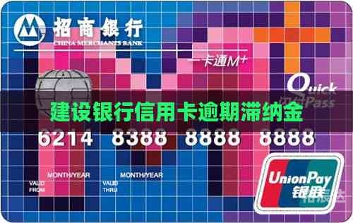 信用卡取消滞纳金信用卡取消滞纳金，解除负担，轻松前行