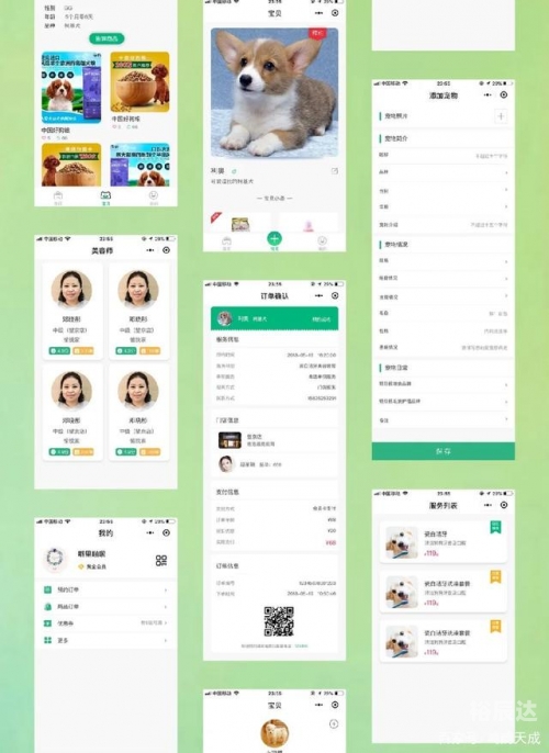 博狗网上博狗网HAOBC，引领宠物行业的新篇章