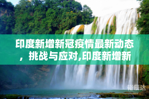 澳门疫情下的挑战与应对-第2张图片
