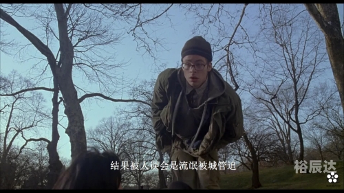 必中三码必中三码，揭秘彩票中的神秘代码