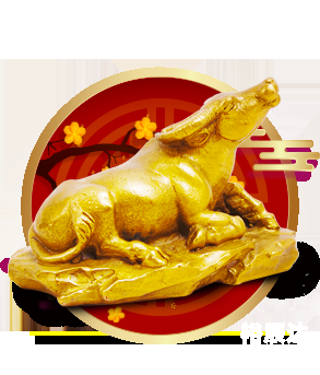 2019六给彩今晚开奖结果历史2019六给彩今晚开奖结果揭晓
