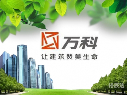 万科融资策略与挑战