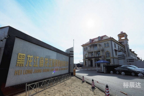 龙江在线传奇龙江在线，龙江新时代的新闻窗口
