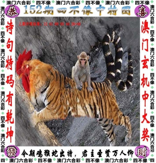 2024香港特马今晚开奖2024香港特马今晚开奖揭秘-第2张图片