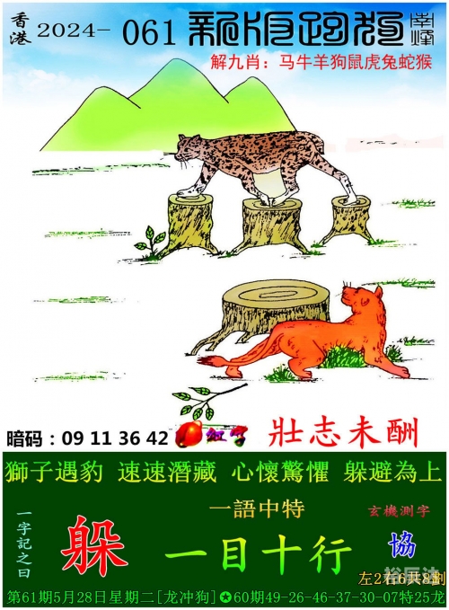 管家婆的资料一肖中特管家婆资料一肖中特