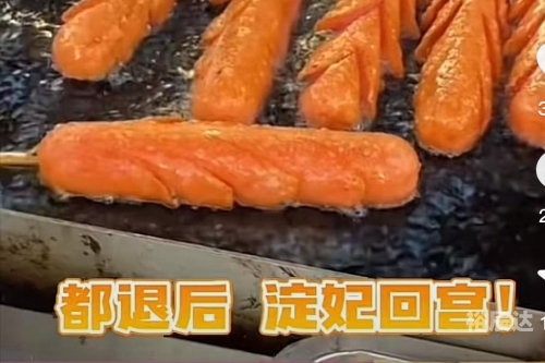 肠妃回宫肠妃回宫-第3张图片