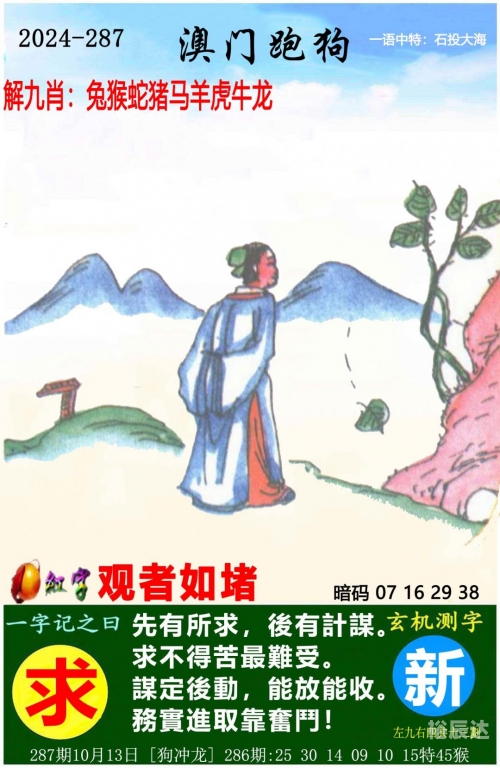 2024澳家婆一肖一特287期澳家婆2024，肖特特新篇章-第3张图片