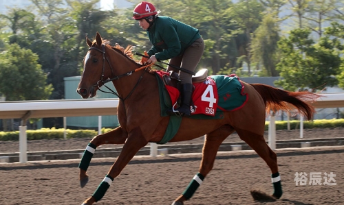 香港马会开码结果直播 开奖结果2019香港马会开码结果直播，2019开奖结果揭晓-第3张图片