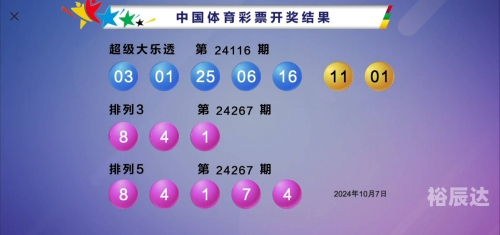 2024澳门正版资料大全免费大全新乡市收野区2024澳门正版资料大全免费大全，全面解析与实用指南