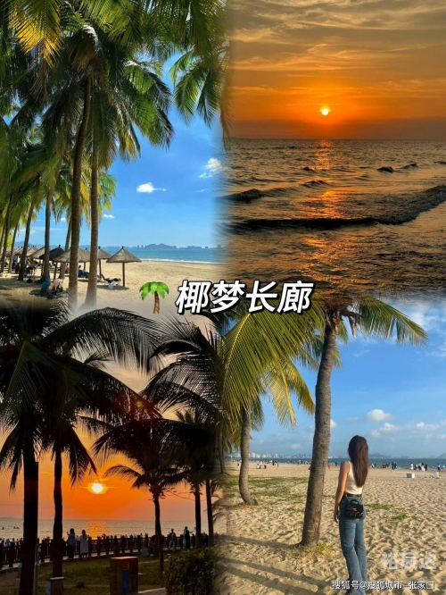 海南五日游海南五日游
