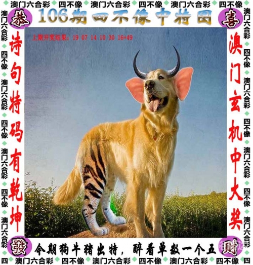 二四六玄机精选资料的优势二四六玄机精选大资料-第3张图片