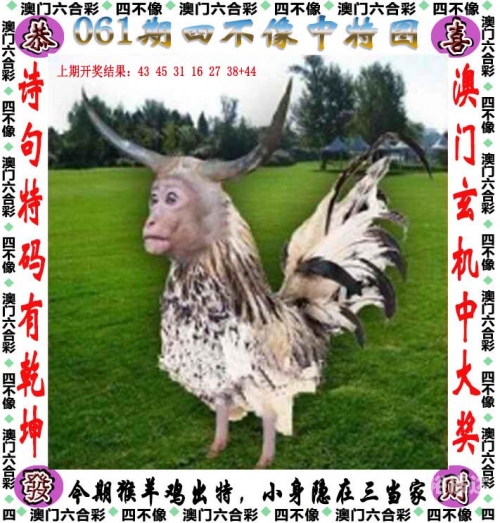 天下彩六有资料六彩天下，多彩世界的探索之旅