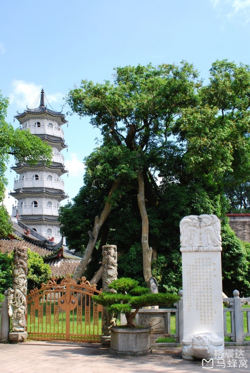 新兴旅游景点大全新兴旅游景点大全