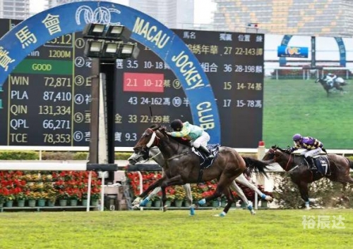香港全年资料马会大全香港全年资料马会大全